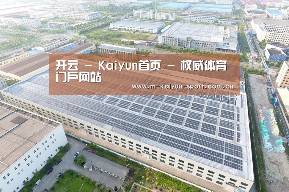 案例展示二