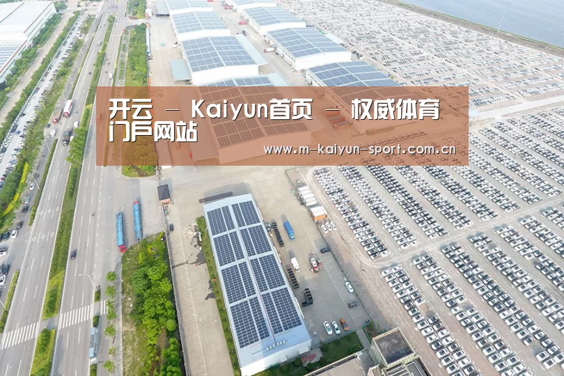案例展示一