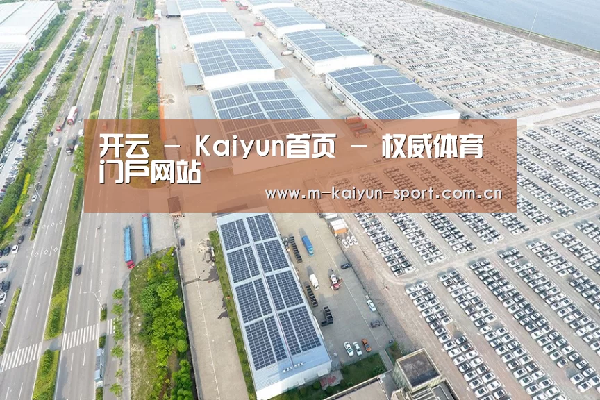 案例展示四