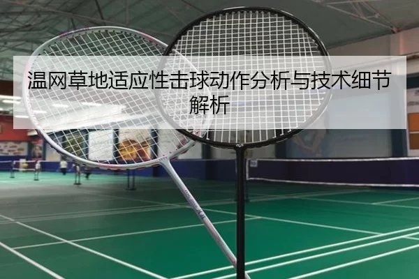 温网草地适应性击球动作分析与技术细节解析