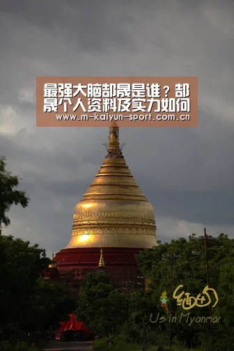 开云体育下载