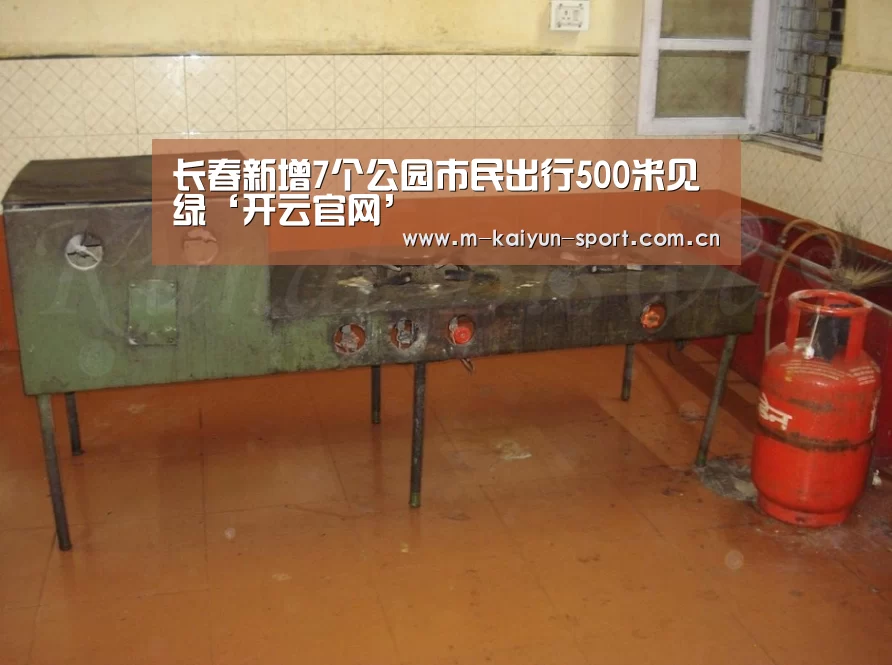 开云体育下载